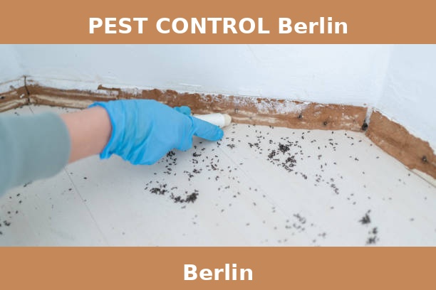 PEST CONTROL Berlin